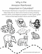 Load image into Gallery viewer, Where is Colombia? Set of 5 Coloring Pages for Kids Download