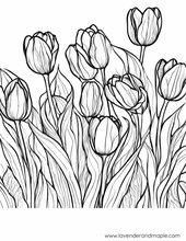 Load image into Gallery viewer, Pack of 5 Turkey Adult Coloring Pages
